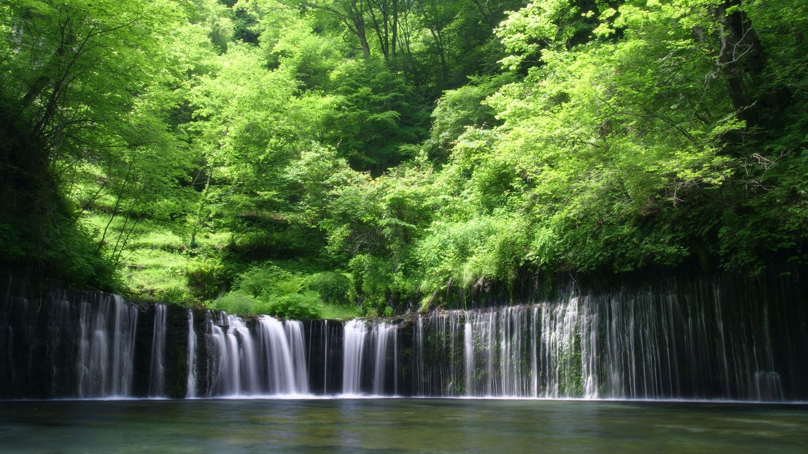 Обои вода, лес, водопад, water, forest, waterfall разрешение 1920x1200 Загрузить