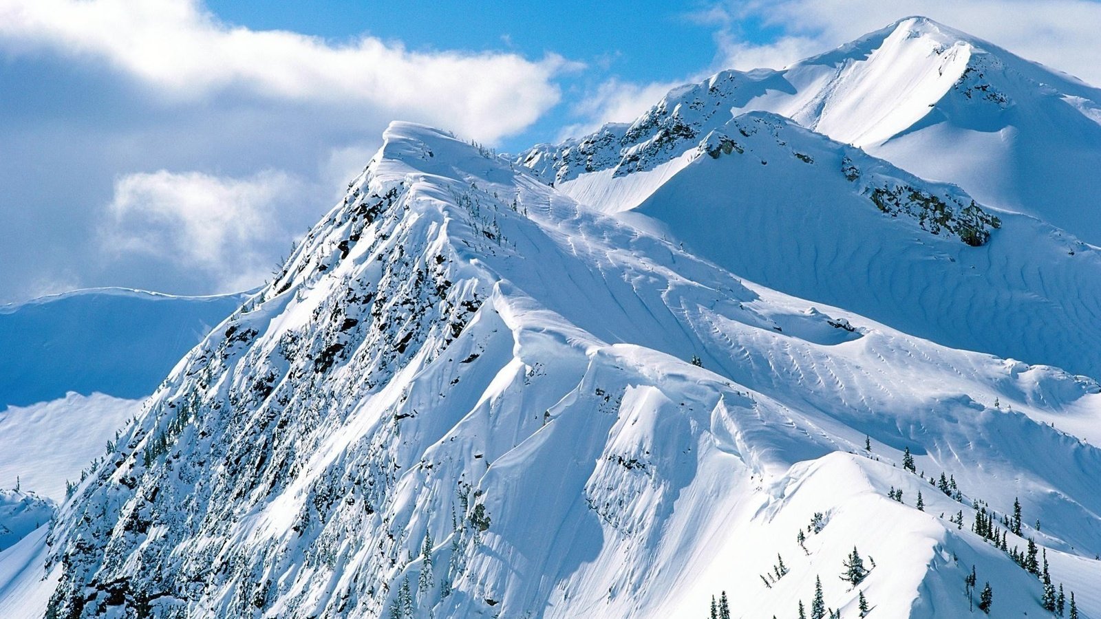 Обои небо, деревья, горы, скалы, снег, склон, the sky, trees, mountains, rocks, snow, slope разрешение 1999x1333 Загрузить