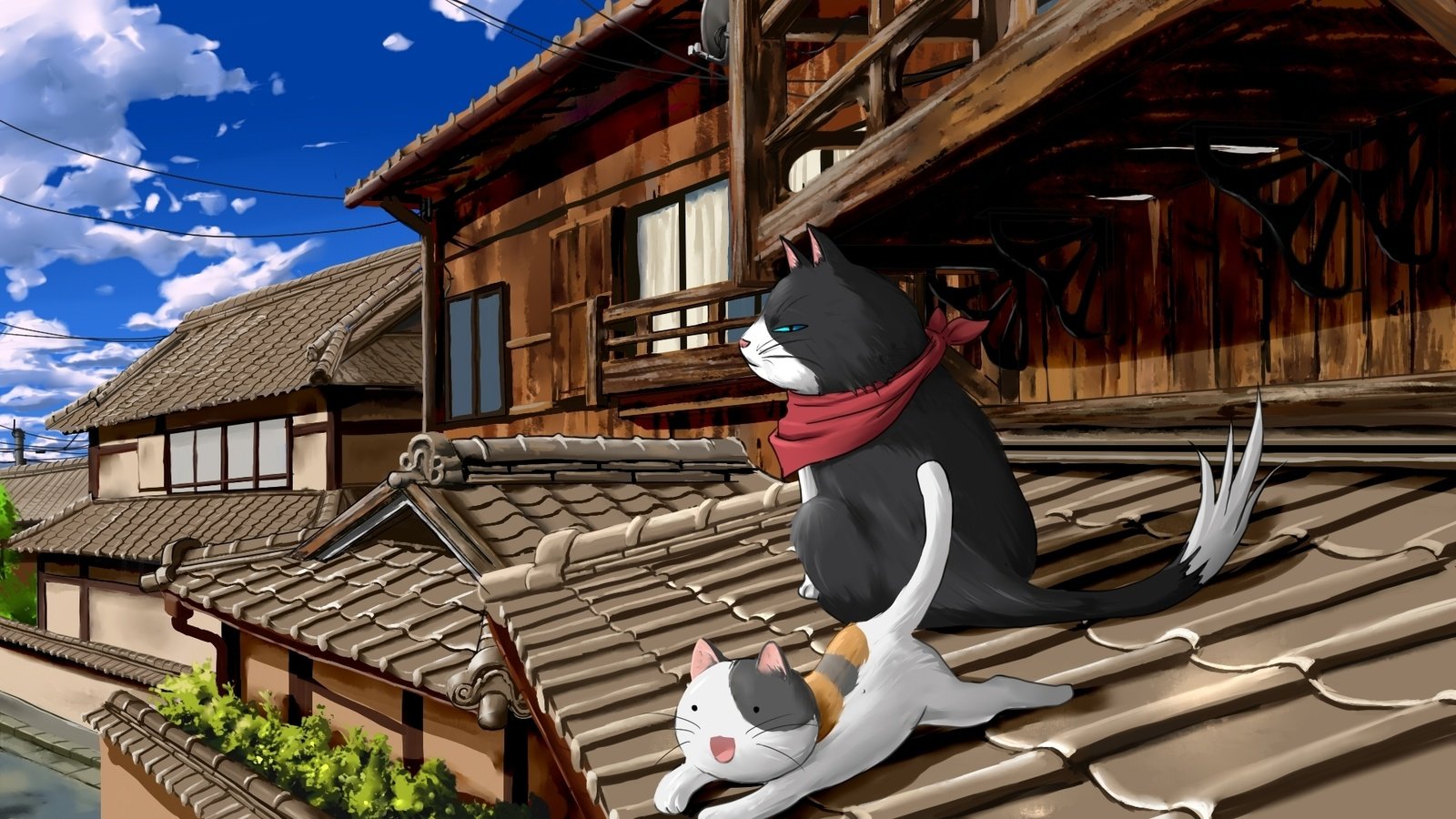 Обои коты, крыша, nyan koi, cats, roof разрешение 1920x1080 Загрузить