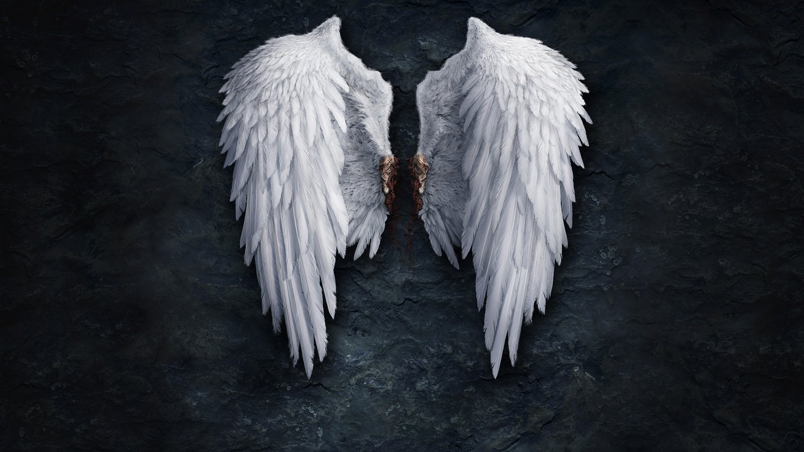 Обои кровь, стена, крылья, перья, blood, wall, wings, feathers разрешение 1920x1200 Загрузить