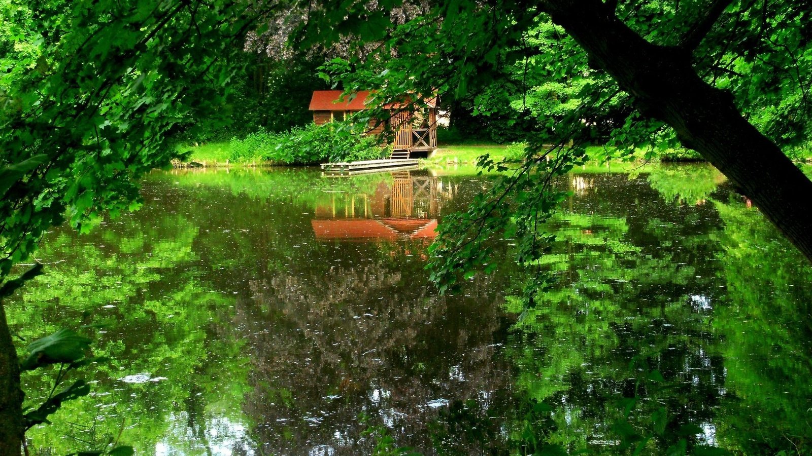 Обои деревья, озеро, dock, trees, lake разрешение 1920x1200 Загрузить