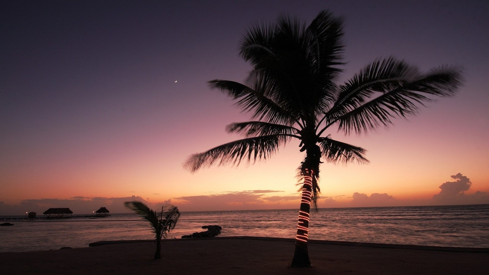 Обои вечер, берег, новый год, море, пальмы, тропики, the evening, shore, new year, sea, palm trees, tropics разрешение 1920x1200 Загрузить