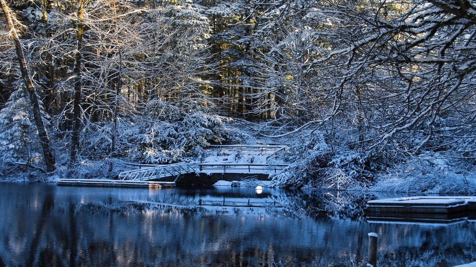 Обои деревья, вода, озеро, снег, зима, мост, trees, water, lake, snow, winter, bridge разрешение 1920x1080 Загрузить