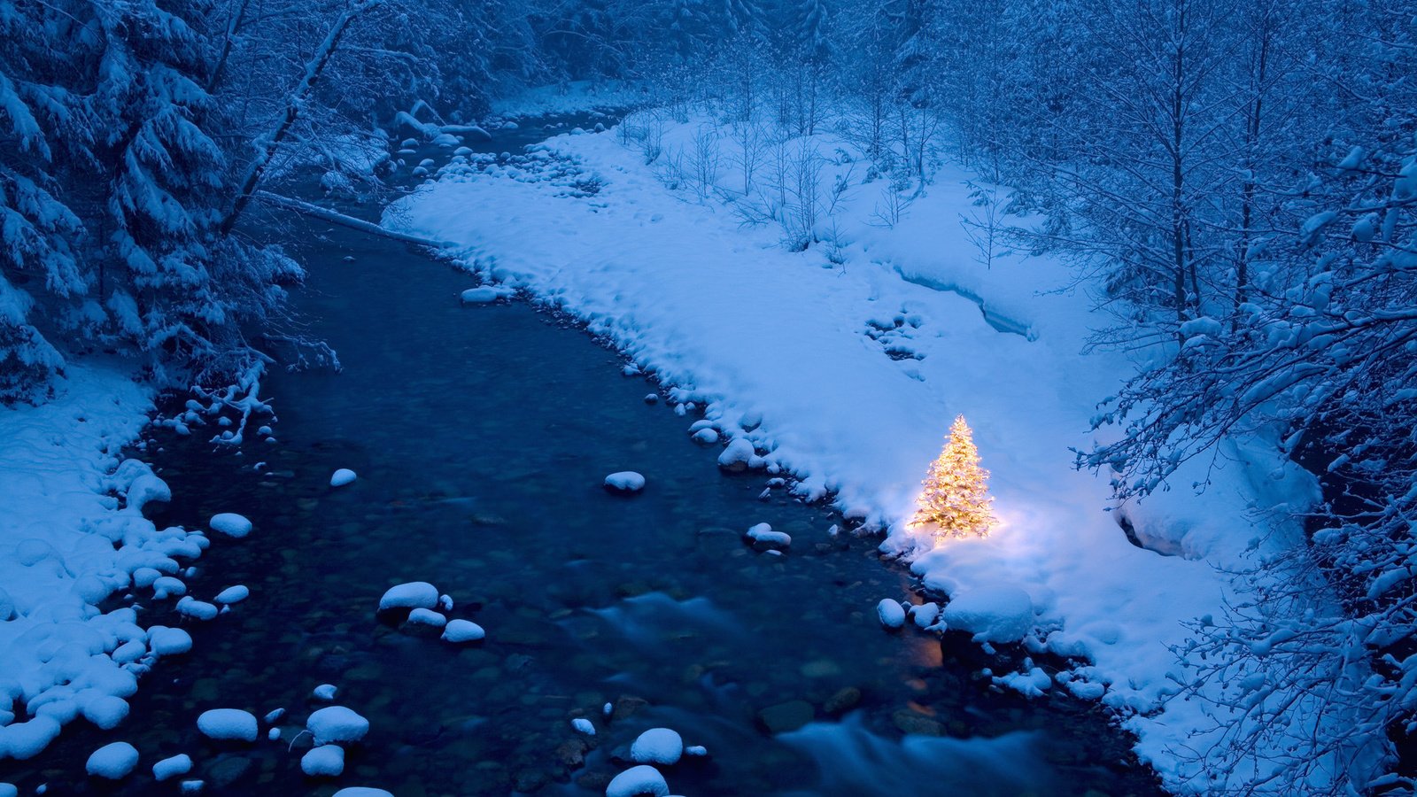 Обои река, елка, лес, гирлянды, зимний, новогодняя, river, tree, forest, garland, winter, christmas разрешение 1920x1200 Загрузить