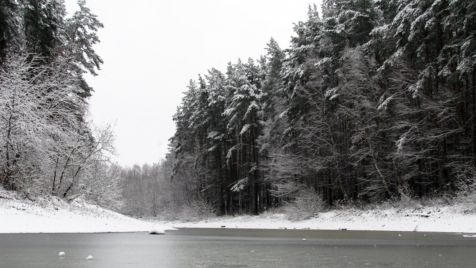 Обои снег, природа, лес, зима, чёрно-белое, сосны, пруд, snow, nature, forest, winter, black and white, pine, pond разрешение 1920x1200 Загрузить