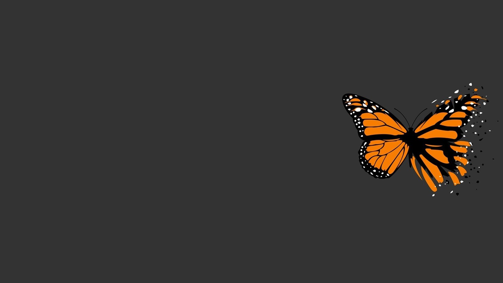 Обои бабочка, серый, минимализм, butterfly, grey, minimalism разрешение 1920x1200 Загрузить