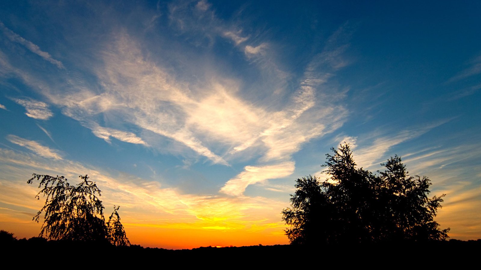 Обои облака, деревья, закат, clouds, trees, sunset разрешение 1920x1200 Загрузить