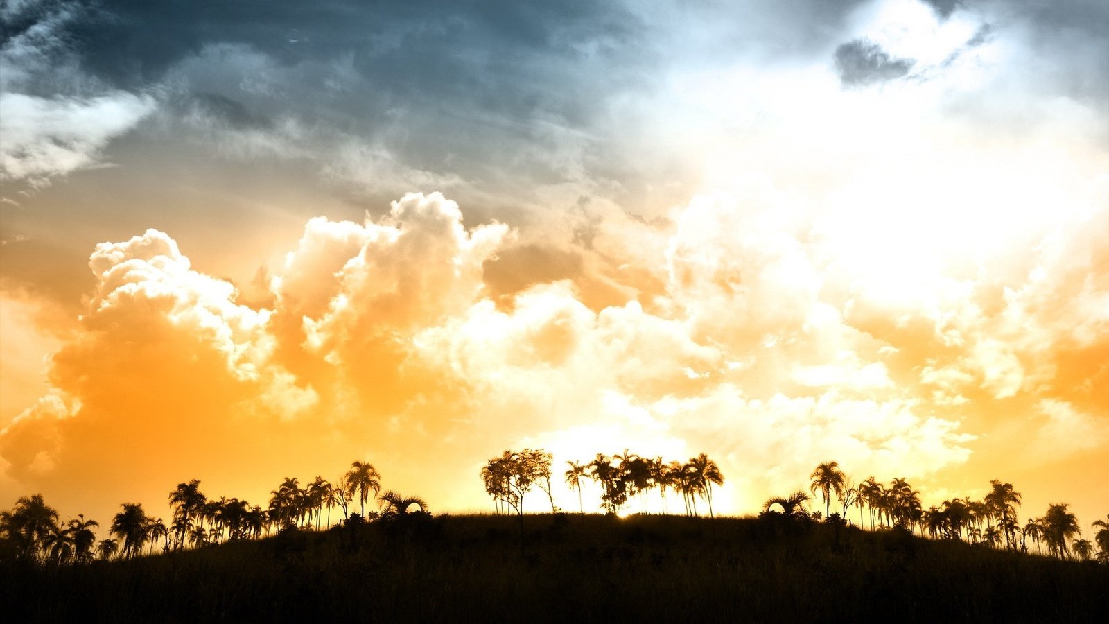 Обои свет, облака, закат, пальмы, light, clouds, sunset, palm trees разрешение 1920x1200 Загрузить