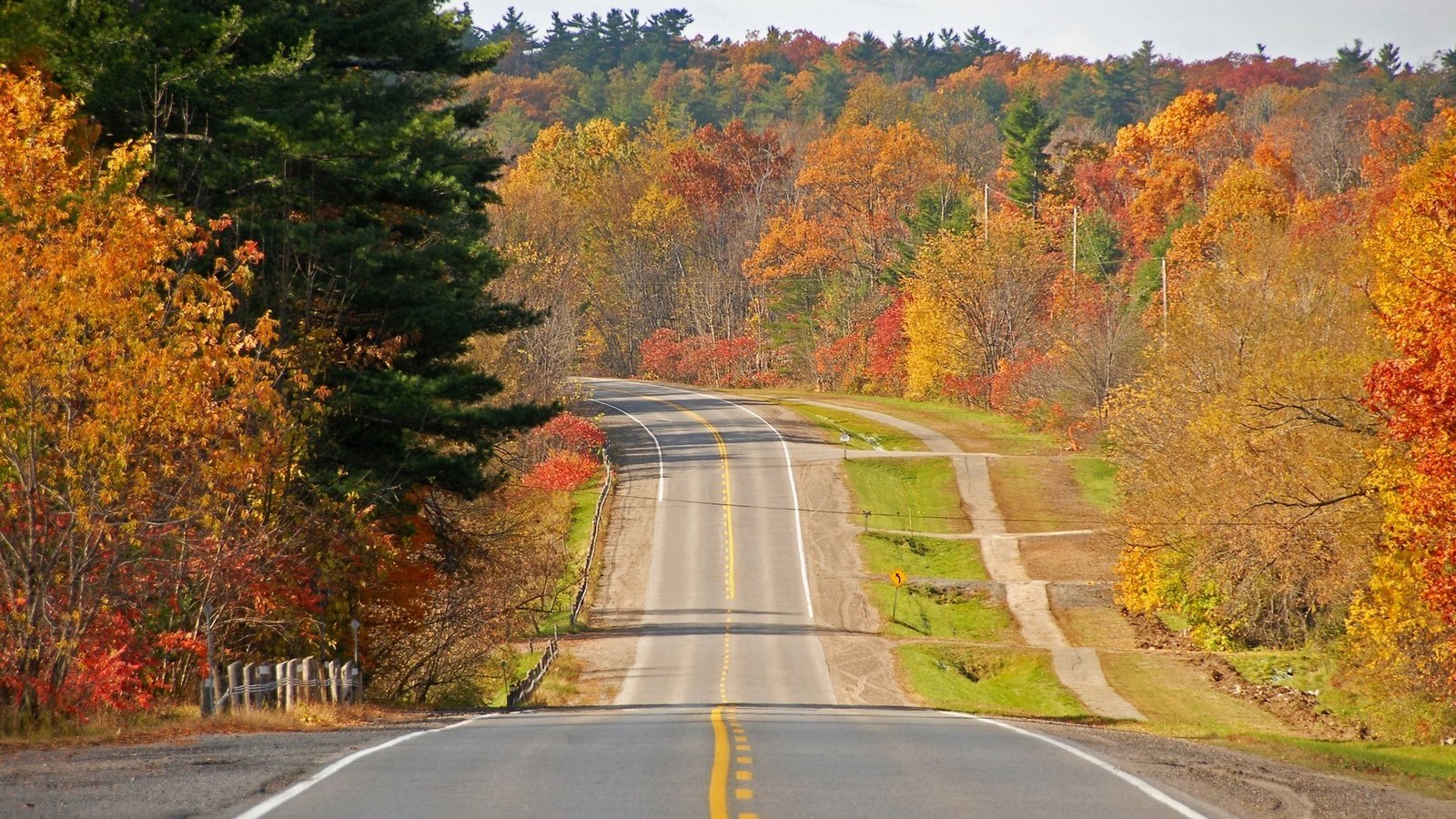 Обои дорога, деревья, осень, road, trees, autumn разрешение 1920x1200 Загрузить