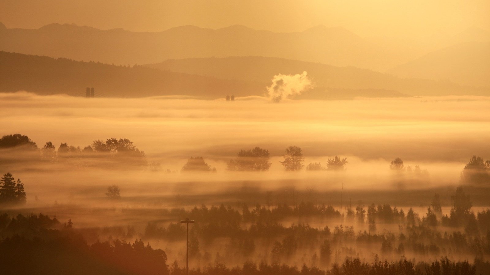 Обои деревья, утро, туман, trees, morning, fog разрешение 1920x1200 Загрузить