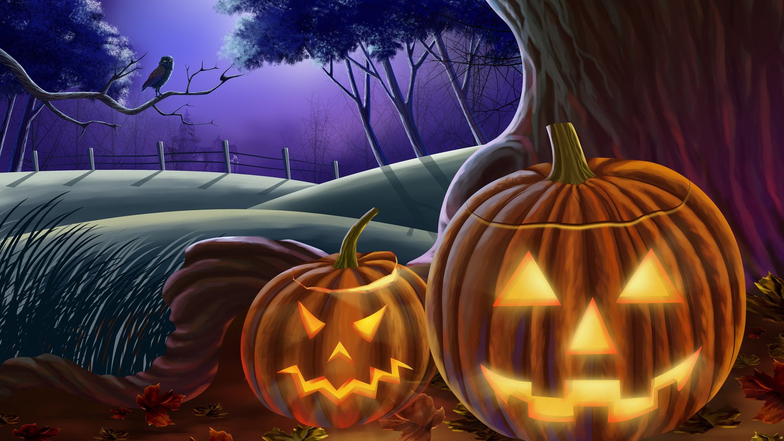 Обои сова, хэллоуин, хеллоуин, тыквы, owl, halloween, pumpkin разрешение 1920x1200 Загрузить