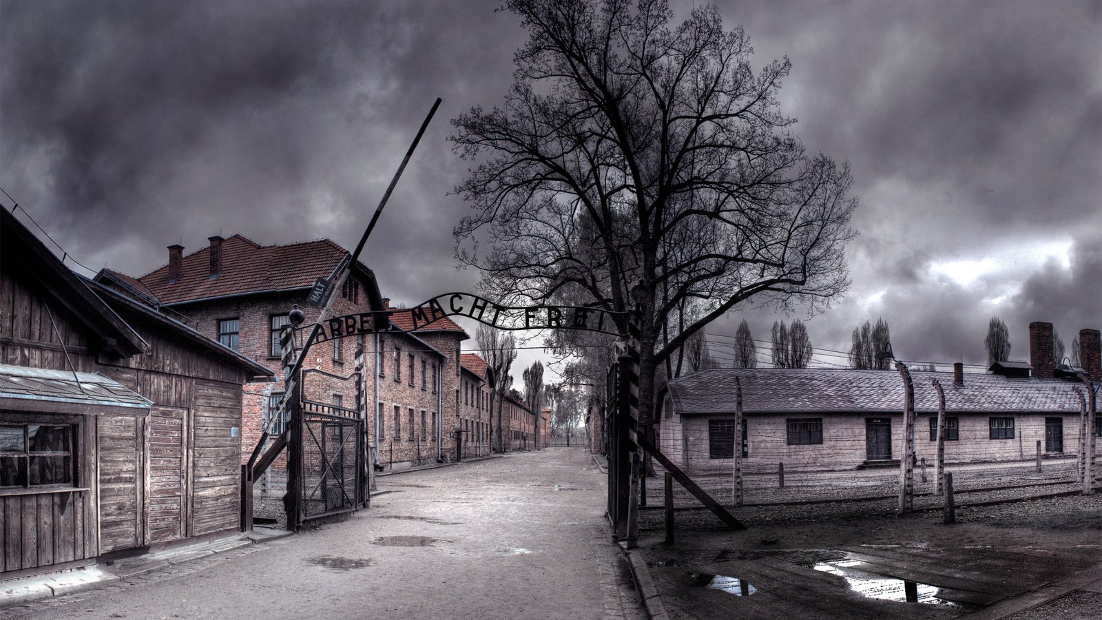 Обои нуар, освенцим, труд делает свободным, noir, auschwitz, work makes you free разрешение 2560x1600 Загрузить