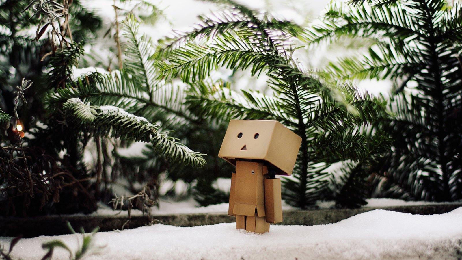 Обои снег, зима, ветви, елки, данбо, snow, winter, branch, tree, danbo разрешение 1920x1200 Загрузить