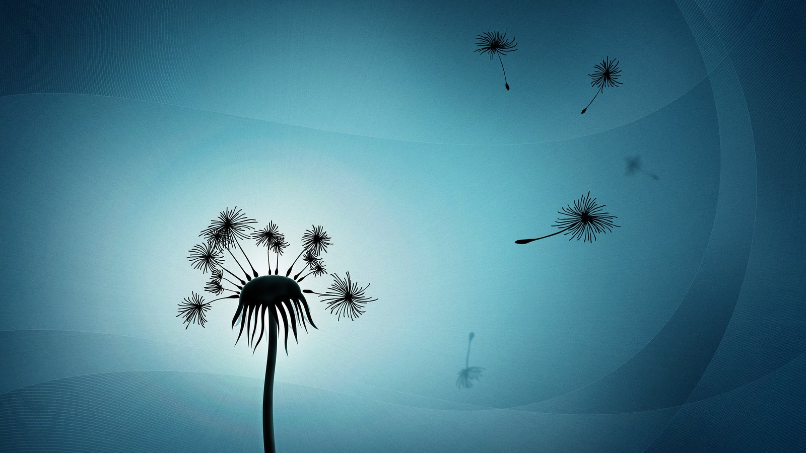 Обои свет, минимализм, одуванчик, пух, light, minimalism, dandelion, fluff разрешение 2560x1600 Загрузить