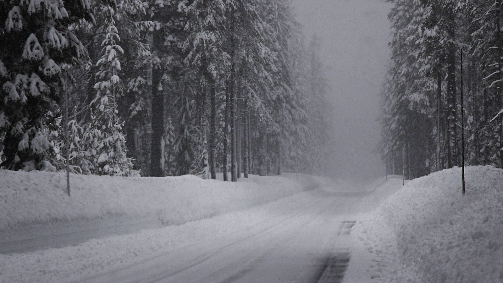 Обои дорога, снег, зима, ельник, road, snow, winter, spruce forest разрешение 2560x1024 Загрузить