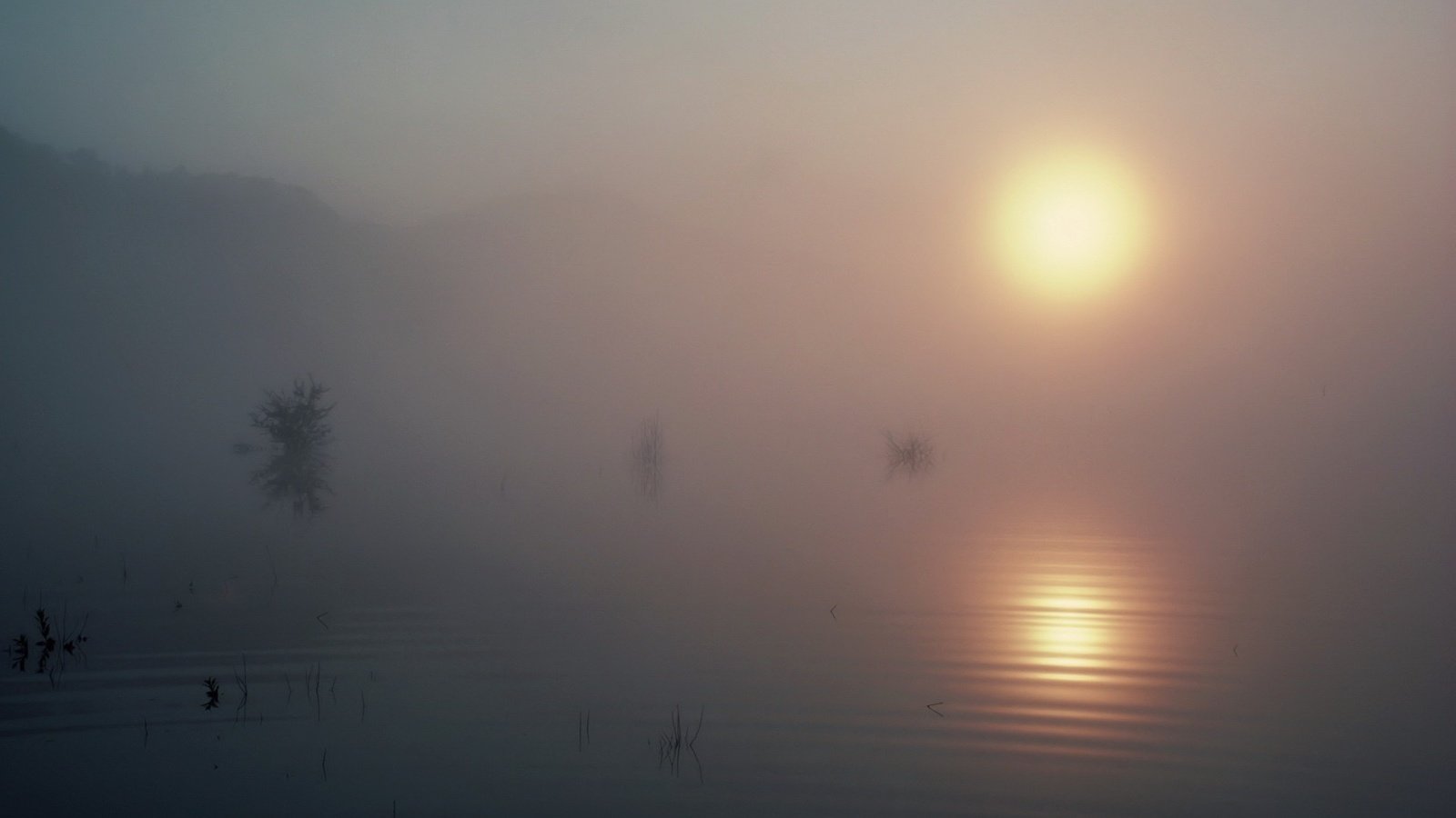 Обои озеро, солнце, туман, lake, the sun, fog разрешение 1920x1440 Загрузить