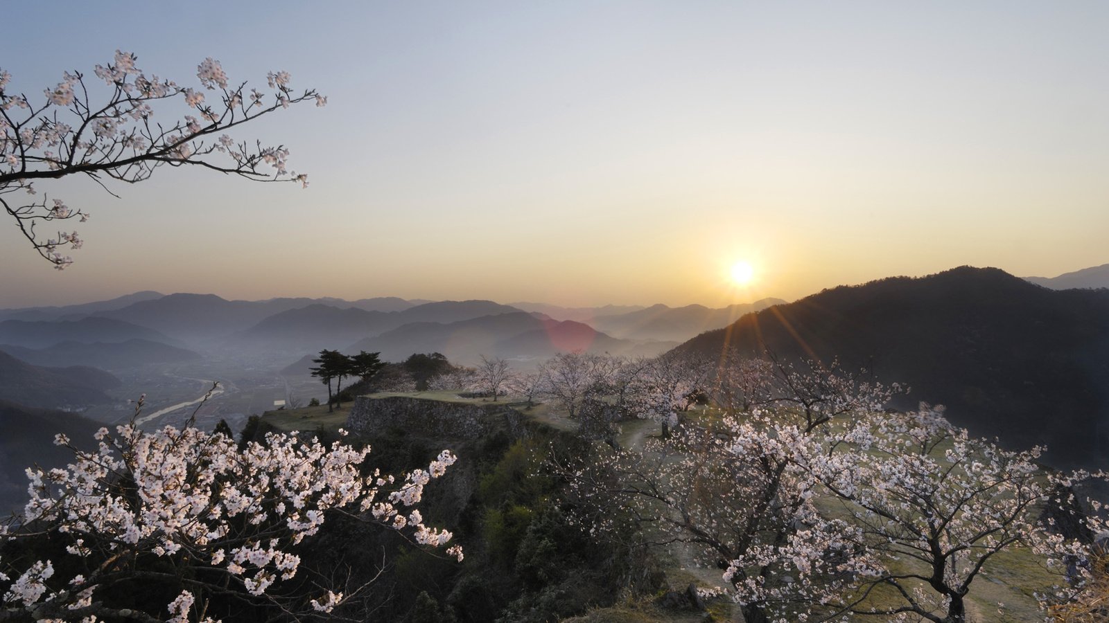 Обои горы, туман, япония, сакура, mountains, fog, japan, sakura разрешение 1920x1080 Загрузить