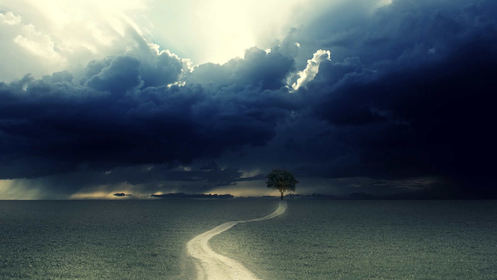 Обои дорога, дерево, гроза, road, tree, the storm разрешение 2560x1600 Загрузить