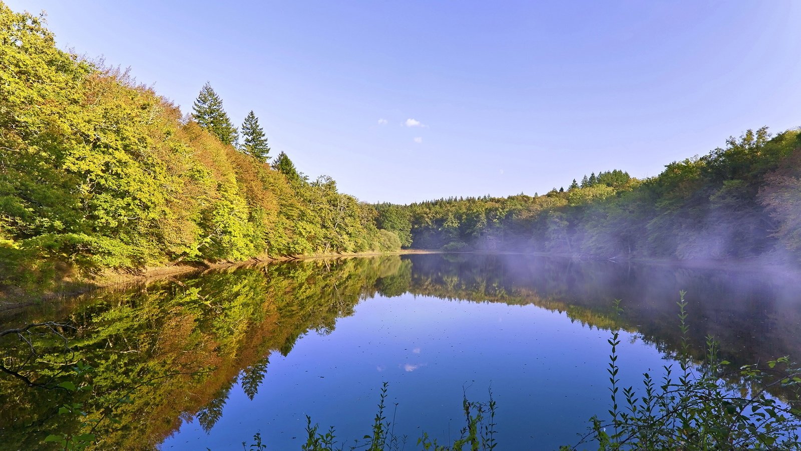 Обои озеро, отражение, утро, туман, lake, reflection, morning, fog разрешение 1920x1200 Загрузить