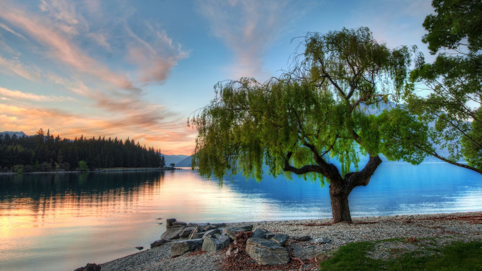 Обои озеро, дерево, закат, новая зеландия, lake, tree, sunset, new zealand разрешение 1920x1080 Загрузить