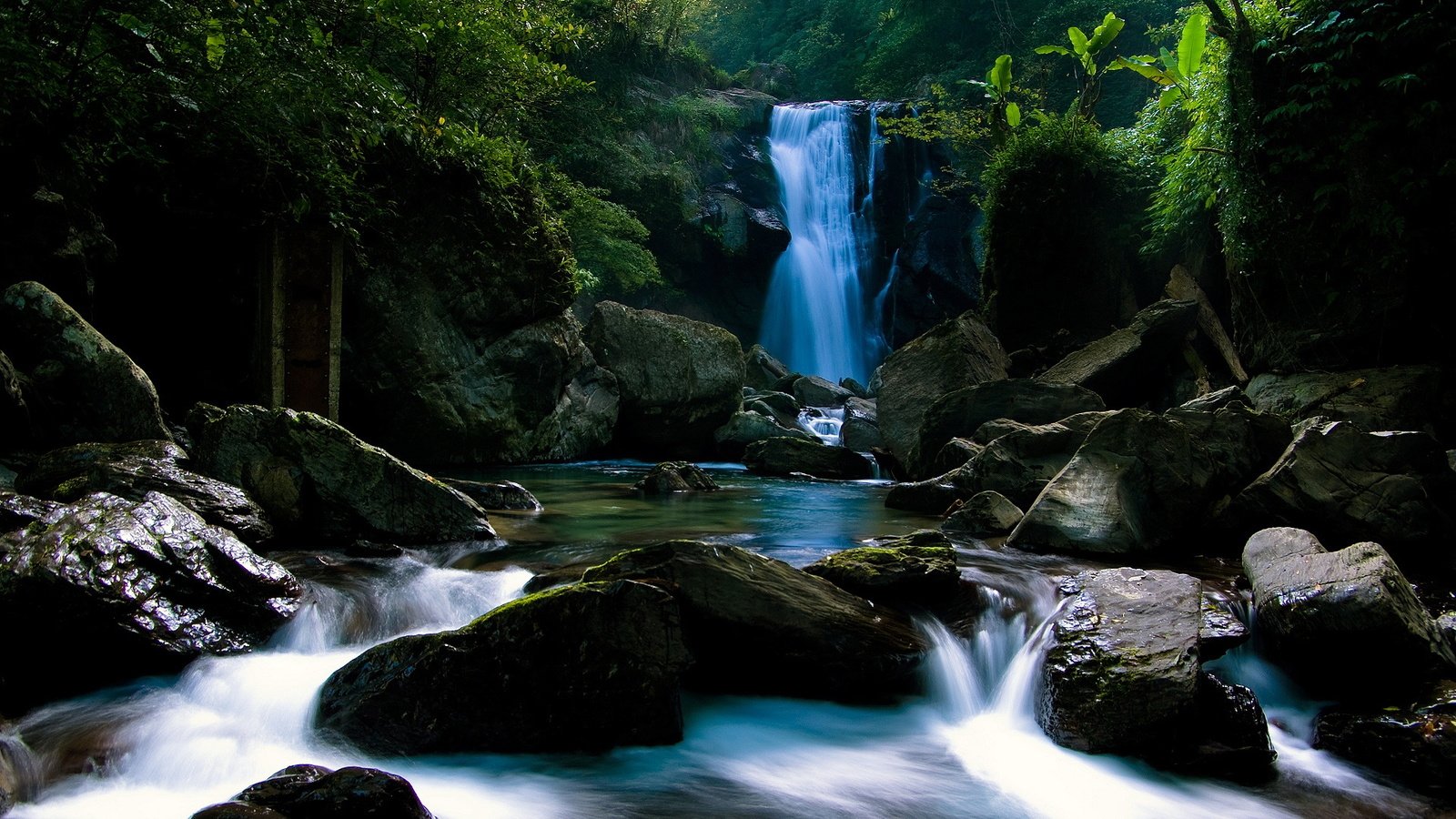 Обои камни, лес, водопад, тропики, stones, forest, waterfall, tropics разрешение 1920x1080 Загрузить