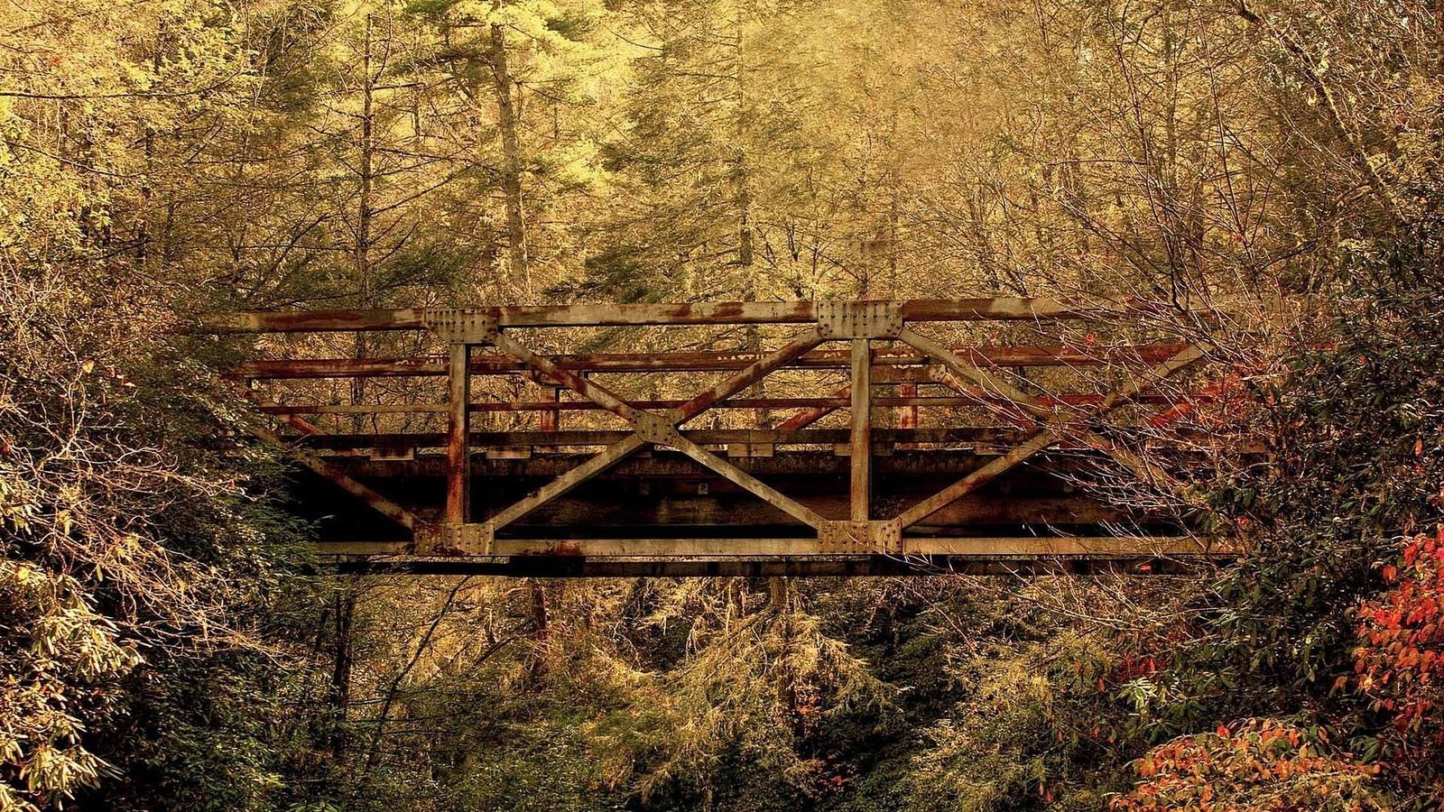 Обои лес, листья, мост, осень, южная каролина, forest, leaves, bridge, autumn, south carolina разрешение 1920x1080 Загрузить