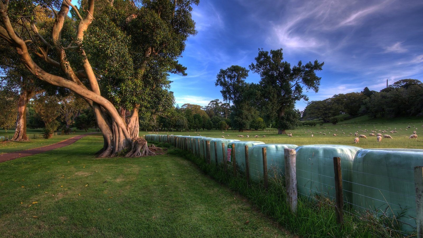 Обои деревья, луг, ограда, trees, meadow, fence разрешение 2560x1600 Загрузить