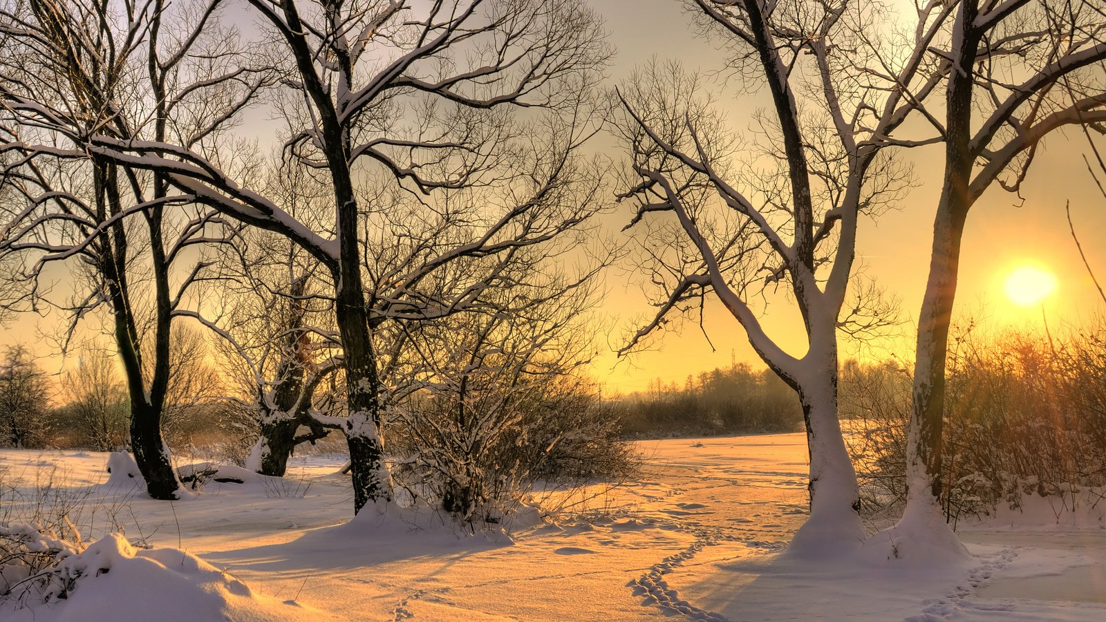 Обои деревья, солнце, снег, зима, trees, the sun, snow, winter разрешение 3327x2200 Загрузить