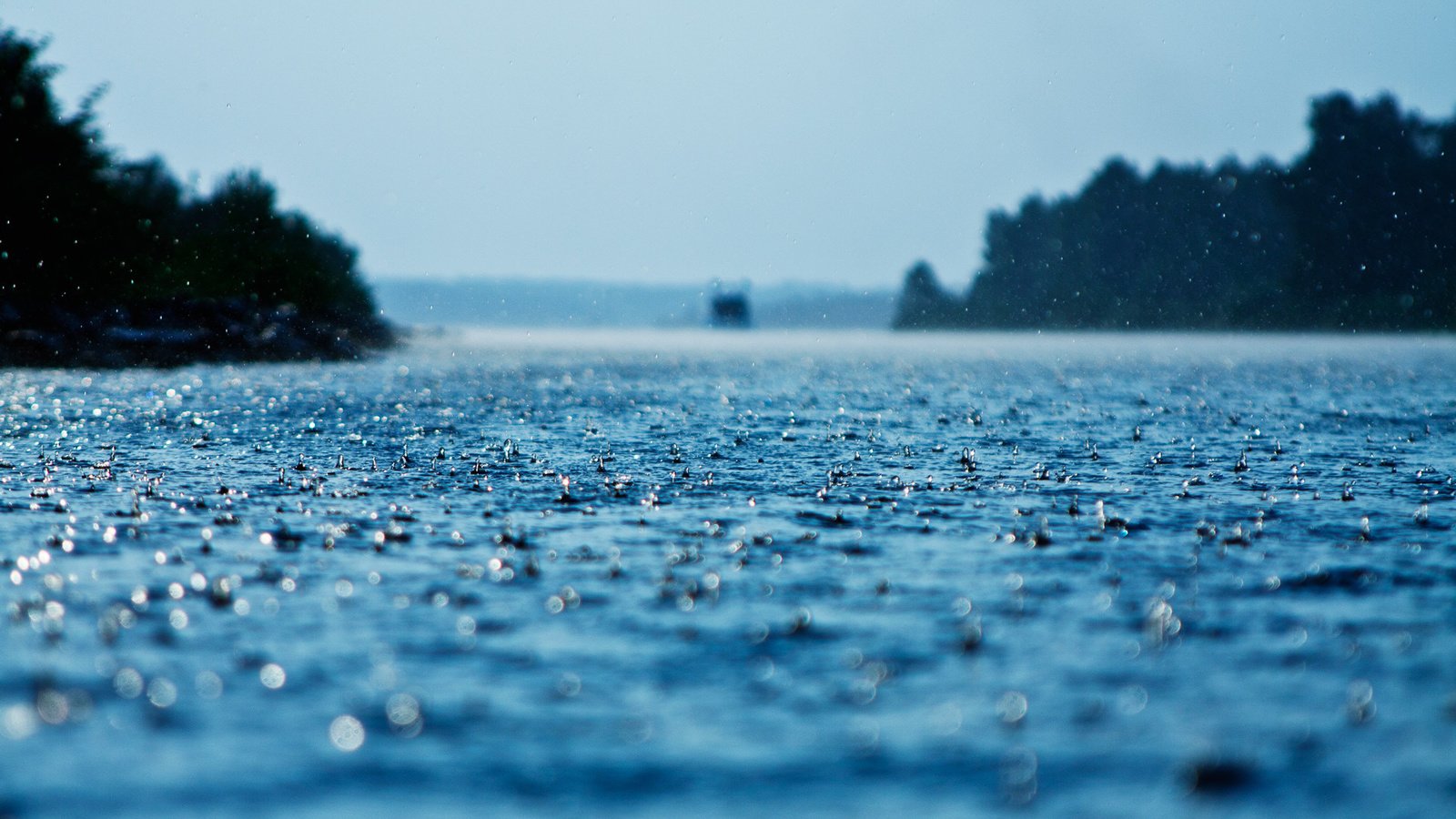 Обои вода, капли, дождь, поверхность, осадки, water, drops, rain, surface разрешение 1920x1200 Загрузить