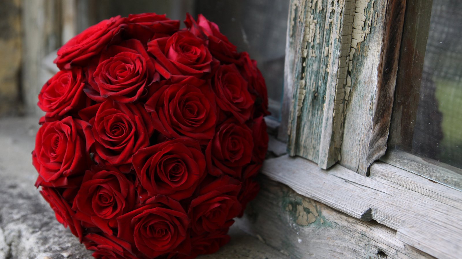 Обои макро, розы, красные, трещины, букет, окно, подоконник, macro, roses, red, cracked, bouquet, window, sill разрешение 2560x1600 Загрузить