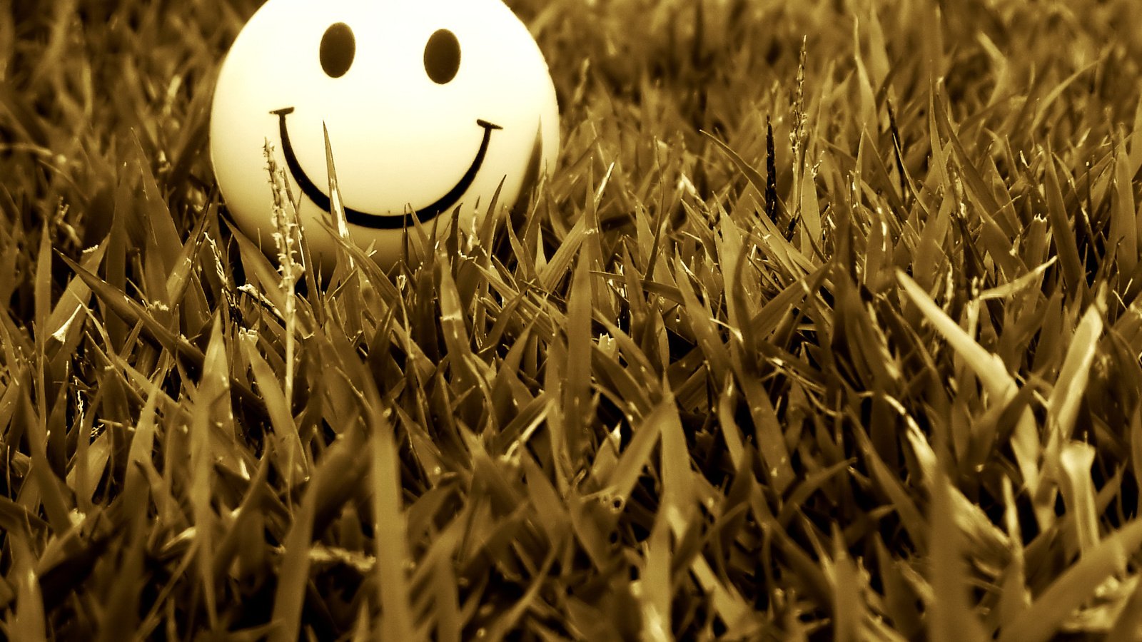 Обои трава, настроение, улыбка, смайл, grass, mood, smile разрешение 2048x1536 Загрузить