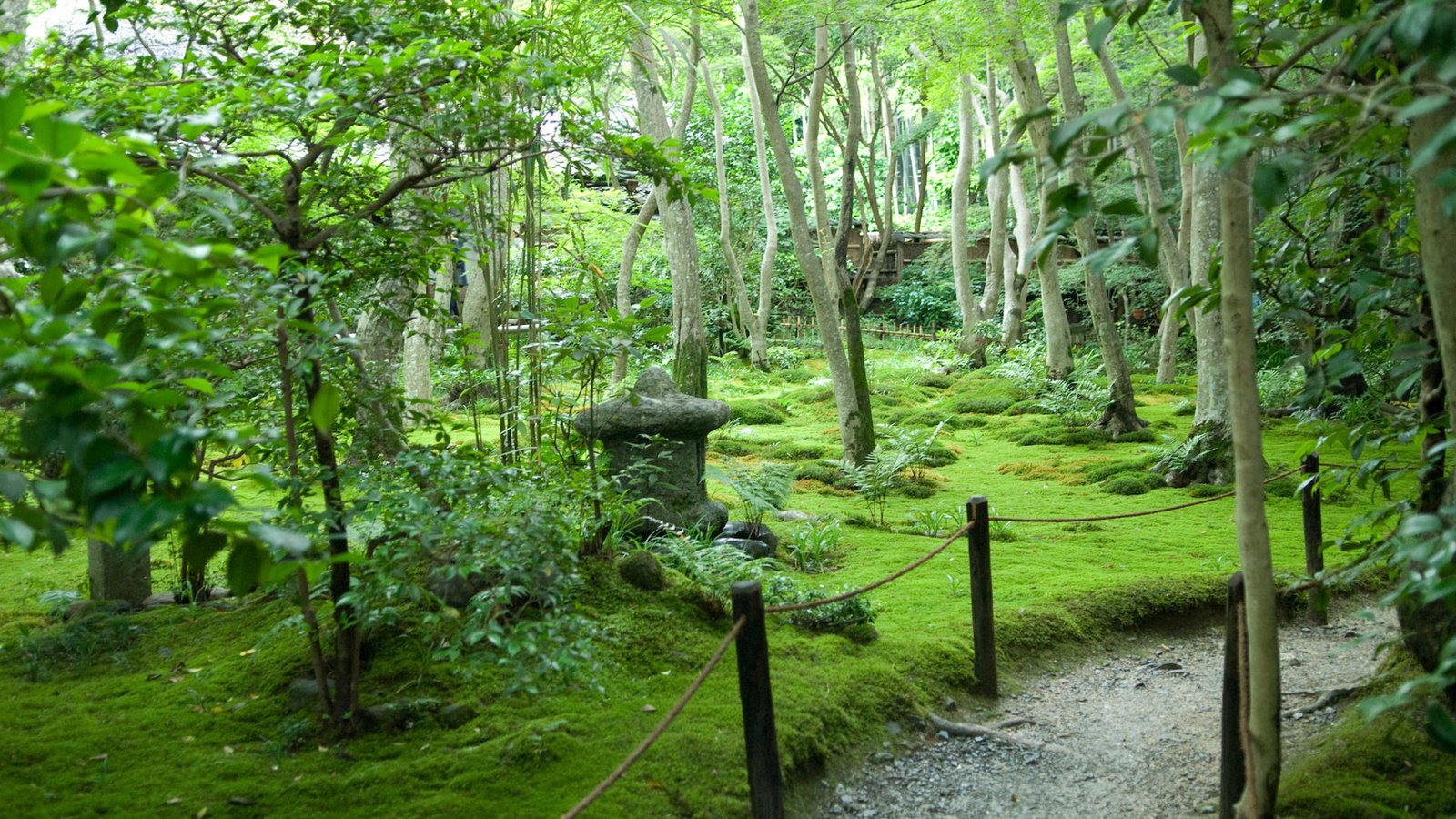 Обои деревья, лето, япония, сад, тропинка, trees, summer, japan, garden, path разрешение 1920x1200 Загрузить