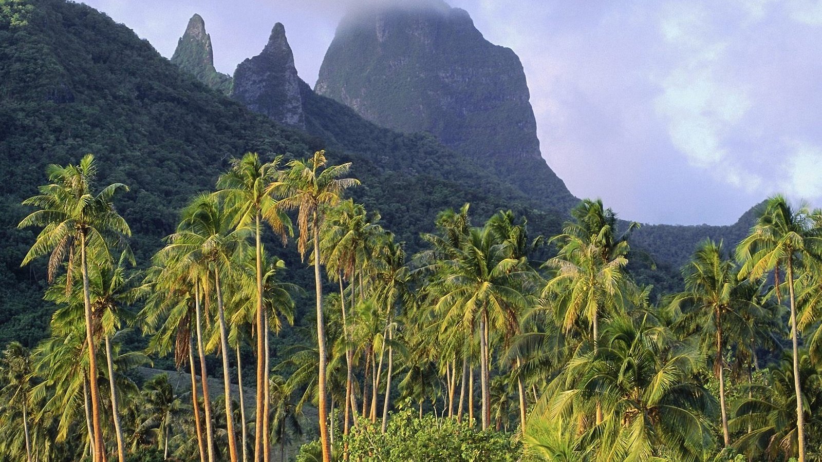 Обои небо, облака, горы, пальмы, французская полинезия, the sky, clouds, mountains, palm trees, french polynesia разрешение 1920x1080 Загрузить