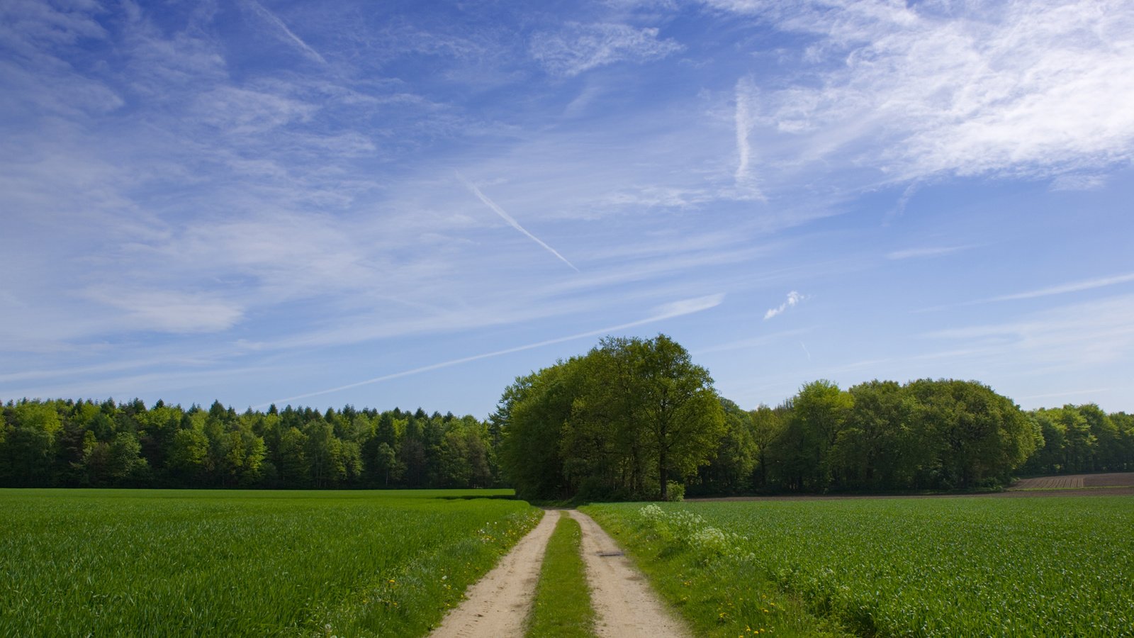 Обои небо, дорога, облака, деревья, зелень, поле, the sky, road, clouds, trees, greens, field разрешение 1920x1200 Загрузить