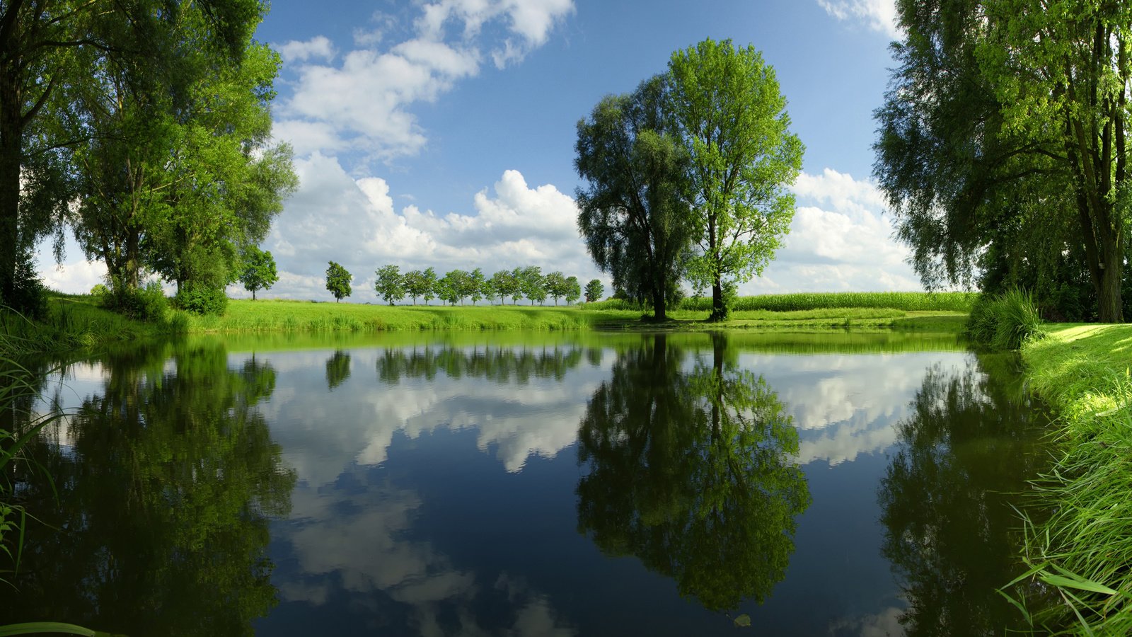 Обои небо, трава, облака, деревья, река, природа, отражение, пейзаж, the sky, grass, clouds, trees, river, nature, reflection, landscape разрешение 1920x1200 Загрузить