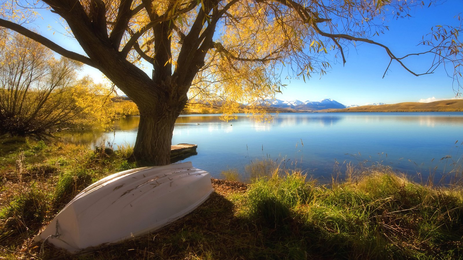 Обои озеро, дерево, осень, лодка, lake, tree, autumn, boat разрешение 1920x1080 Загрузить