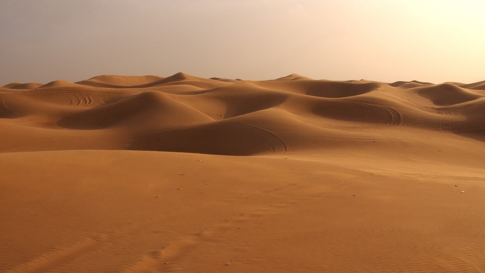 Обои песок, пустыня, дюны, сахара, sand, desert, dunes, sugar разрешение 1920x1440 Загрузить