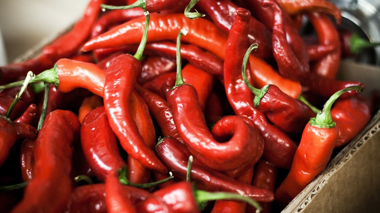 Обои еда, красный, чили, перец, овощи.перец, food, red, chile, pepper, vegetables.pepper разрешение 2560x1706 Загрузить