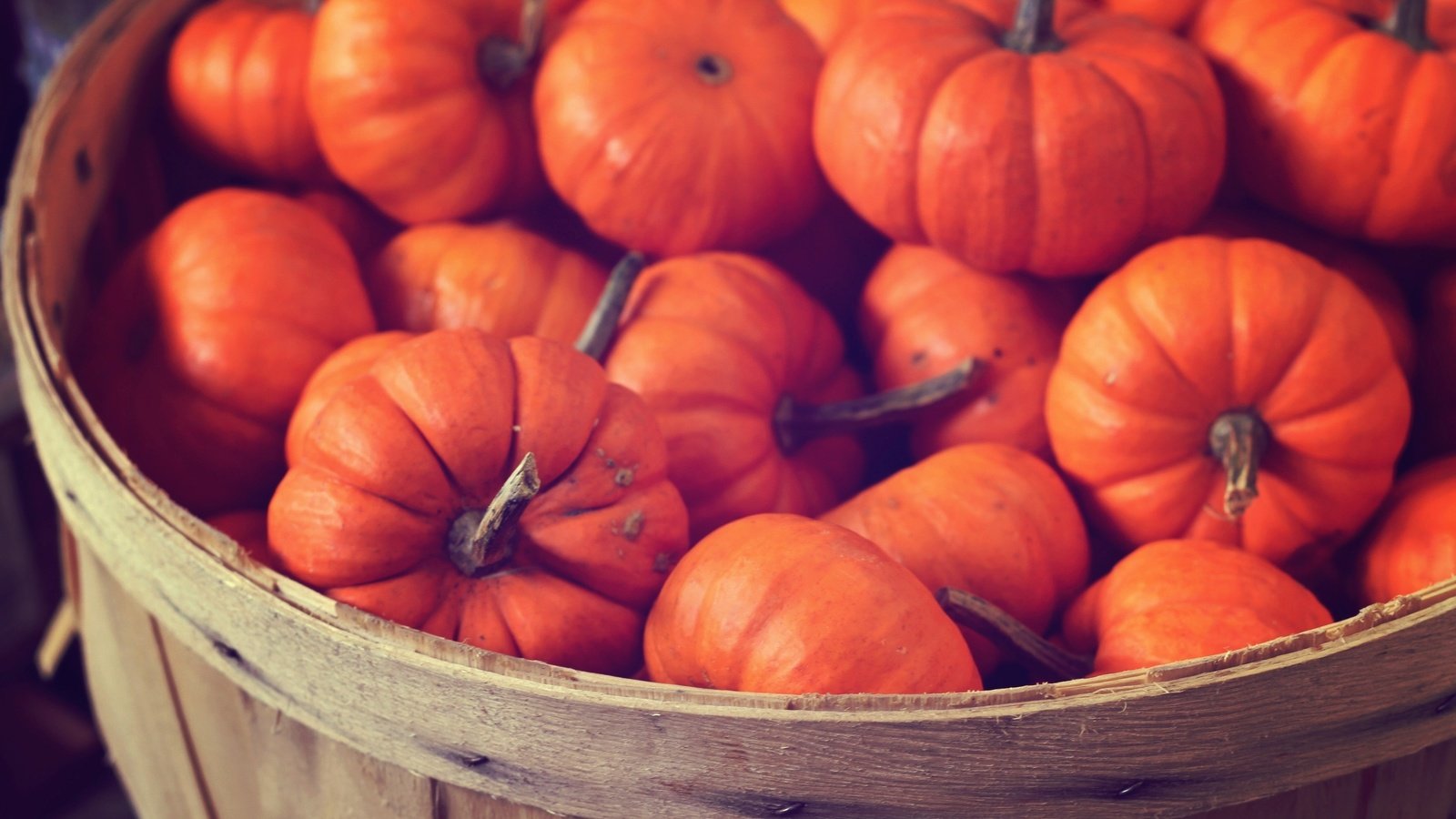 Обои обои, цвета, фото, еда, корзина, яркие, тыква, wallpaper, color, photo, food, basket, bright, pumpkin разрешение 2592x1728 Загрузить