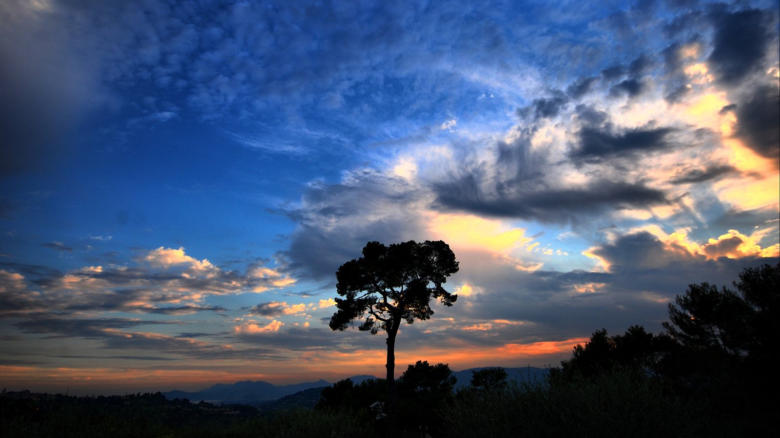 Обои небо, облака, дерево, закат, the sky, clouds, tree, sunset разрешение 1920x1080 Загрузить