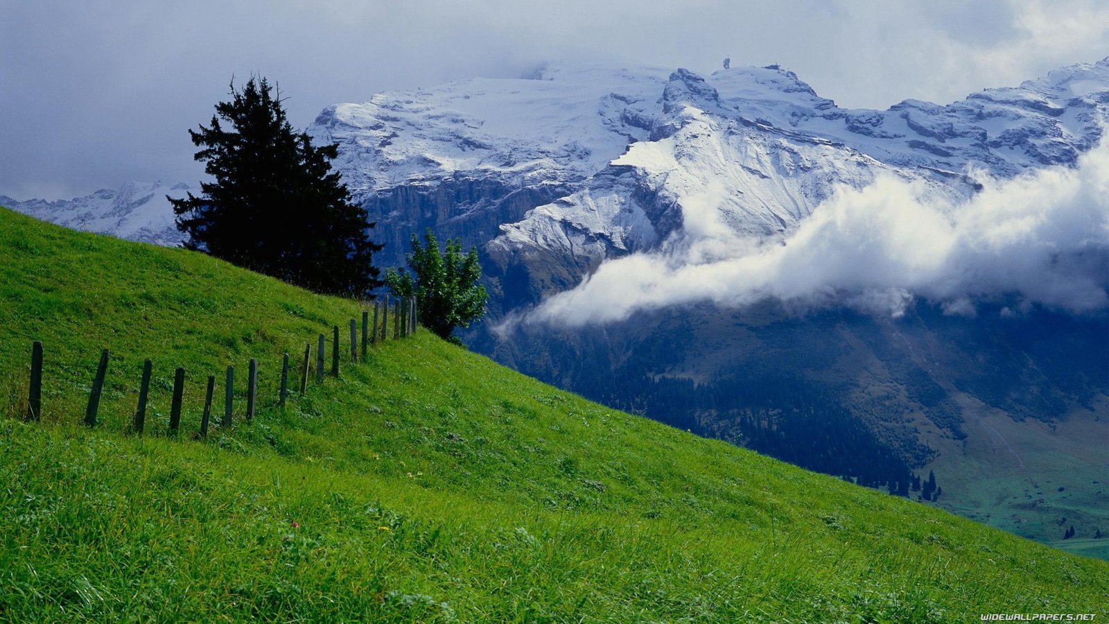 Обои небо, горы, зелень, лето, луг, альпы, the sky, mountains, greens, summer, meadow, alps разрешение 1920x1080 Загрузить