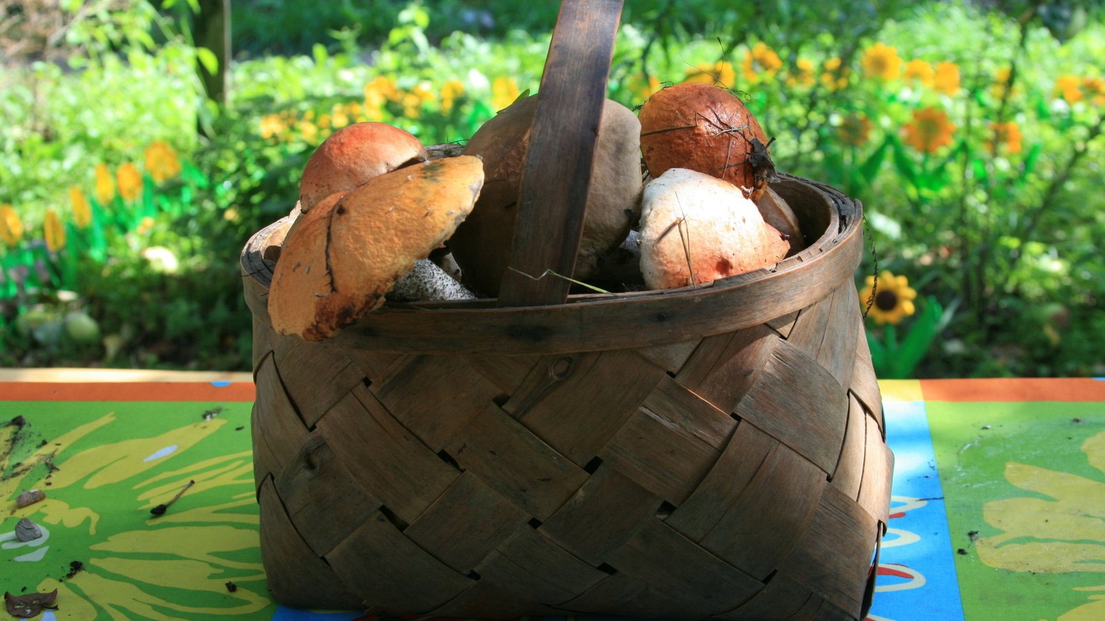 Обои природа, осень, грибы, корзина, грибы в лукошке, nature, autumn, mushrooms, basket, mushrooms in a basket разрешение 1920x1280 Загрузить