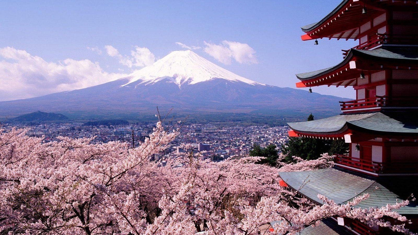 Обои гора, весна, сакура, токио, фудзиям, mountain, spring, sakura, tokyo, fujian разрешение 2560x1600 Загрузить
