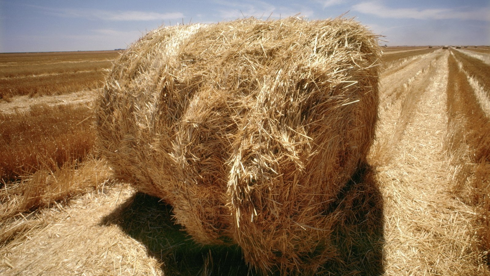 Обои небо, поле, сено, солома, стог, рулон, the sky, field, hay, straw, stack, roll разрешение 1920x1200 Загрузить