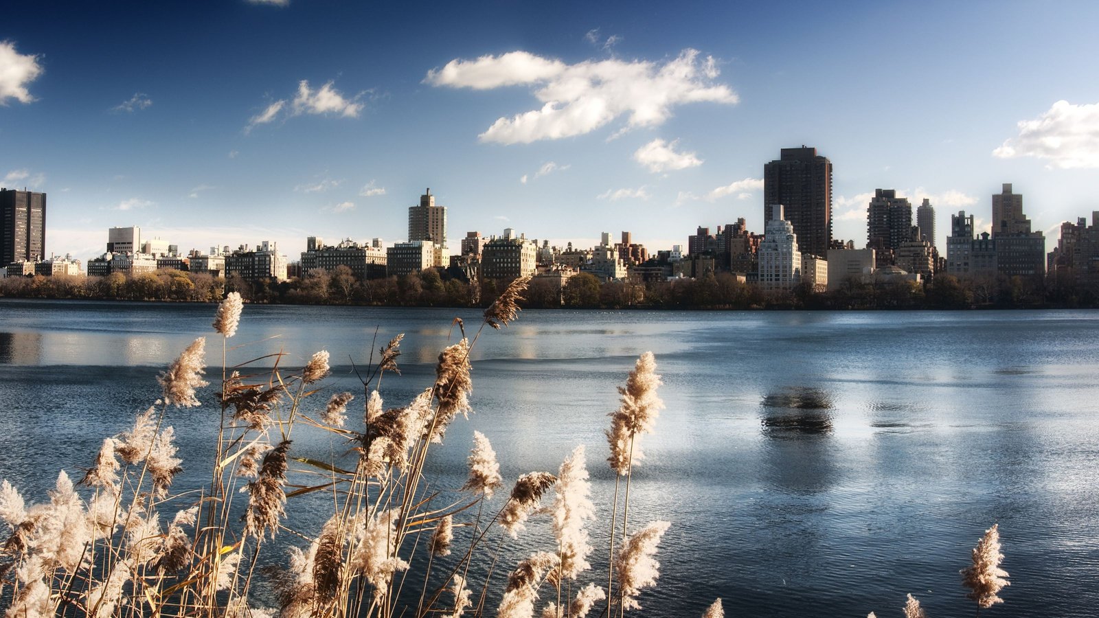 Обои небо, вода, озеро, нью-йорк, центральный парк, the sky, water, lake, new york, central park разрешение 3780x1799 Загрузить