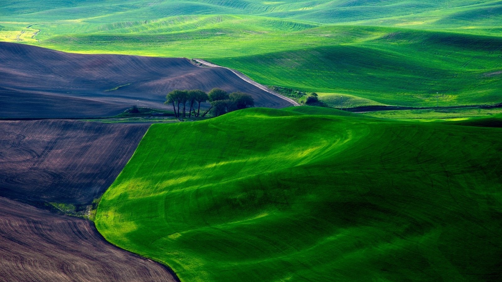 Обои трава, луга, деревья, земля, холмы, поле, зеленые, весна, долина, grass, meadows, trees, earth, hills, field, green, spring, valley разрешение 1920x1080 Загрузить