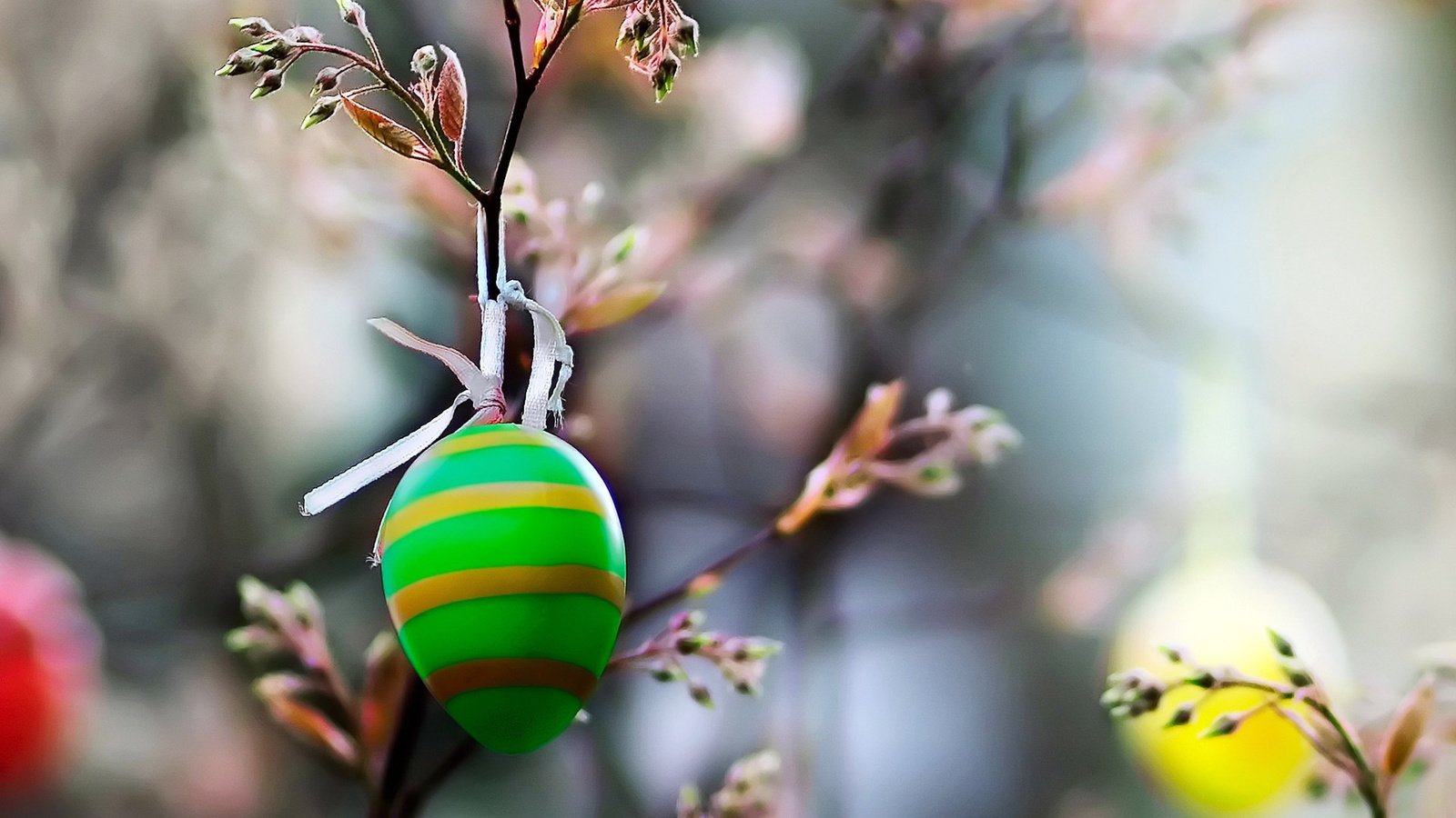 Обои ветка, природа, макро, пасха, праздник, зеленое, яйцо, цветное, branch, nature, macro, easter, holiday, green, egg, color разрешение 1920x1200 Загрузить