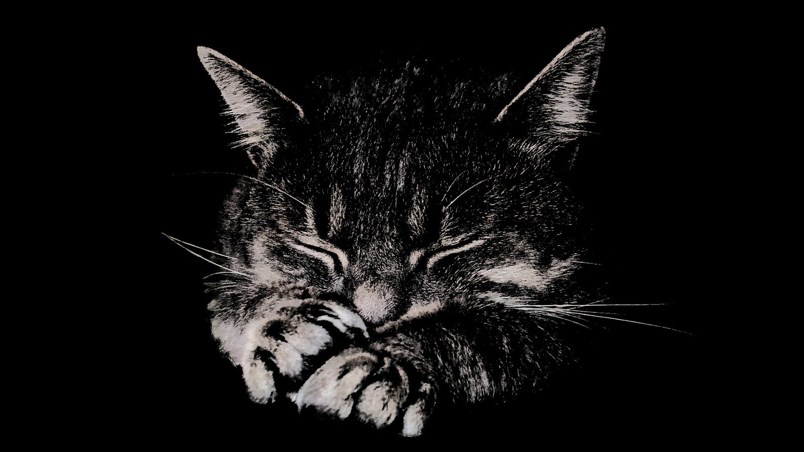 Обои мордочка, лапы, кошка, сон, котенок, полосатый, muzzle, paws, cat, sleep, kitty, striped разрешение 1920x1200 Загрузить
