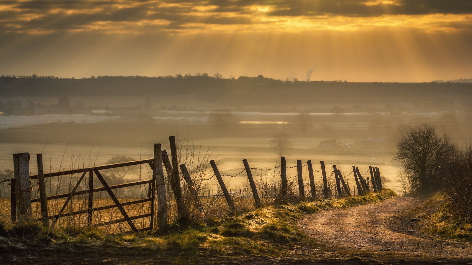 Обои дорога, природа, закат, забор, road, nature, sunset, the fence разрешение 1920x1200 Загрузить