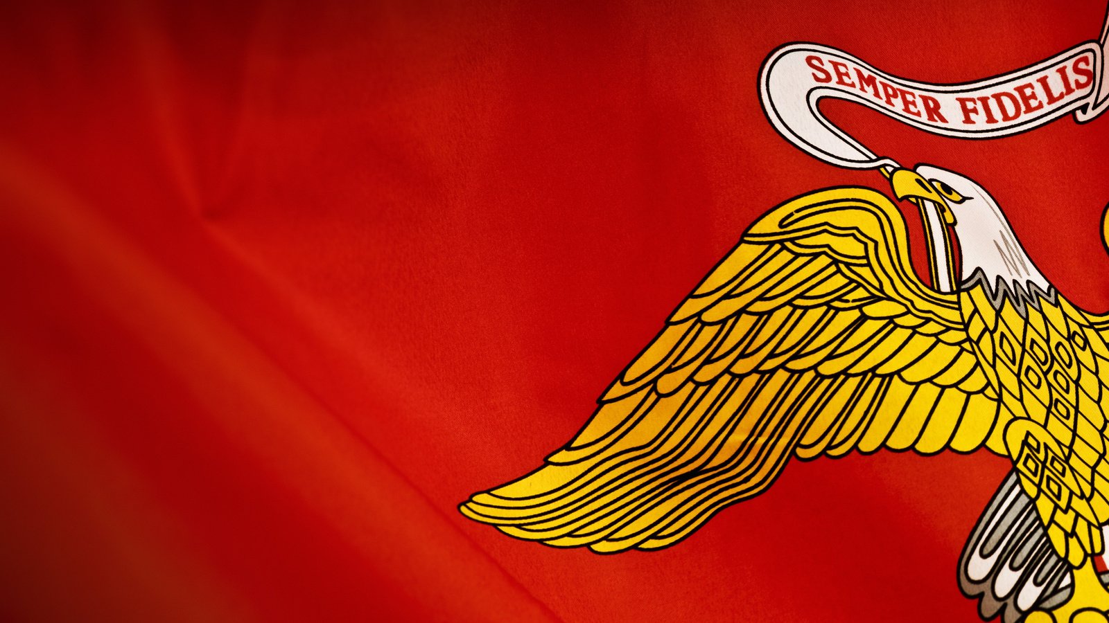 Обои желтый, красный, орел, флаг, yellow, red, eagle, flag разрешение 2560x1600 Загрузить